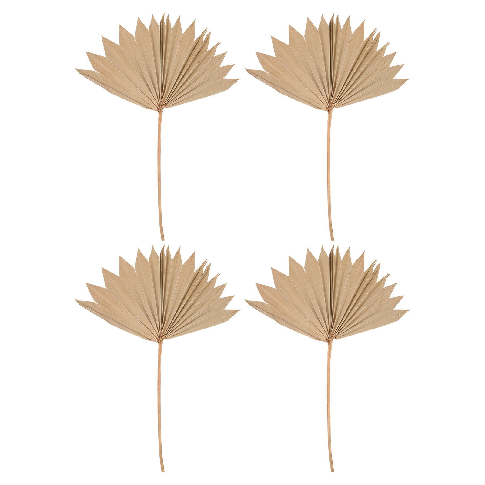 Palm Leaf Dried - 4Pcs Dried Palm Leaf Decoration Wedding