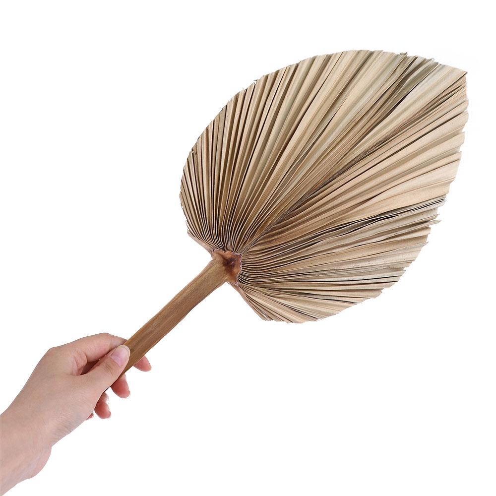 Palm Leaf Dried - Party Office Boho Trimmed Bohemian Natural