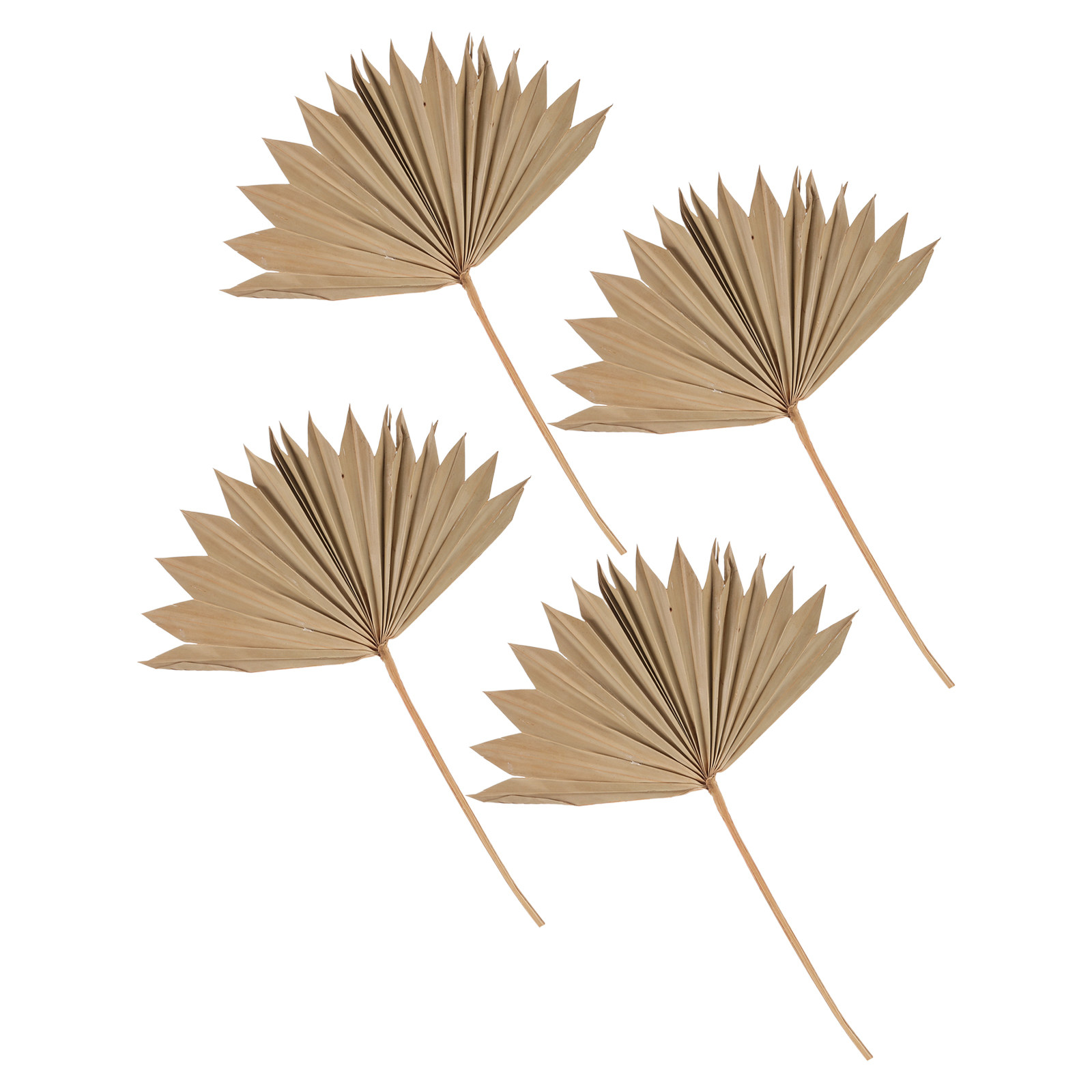 Palm Leaf Dried - 4Pcs Dried Palm Leaf Decor Natural