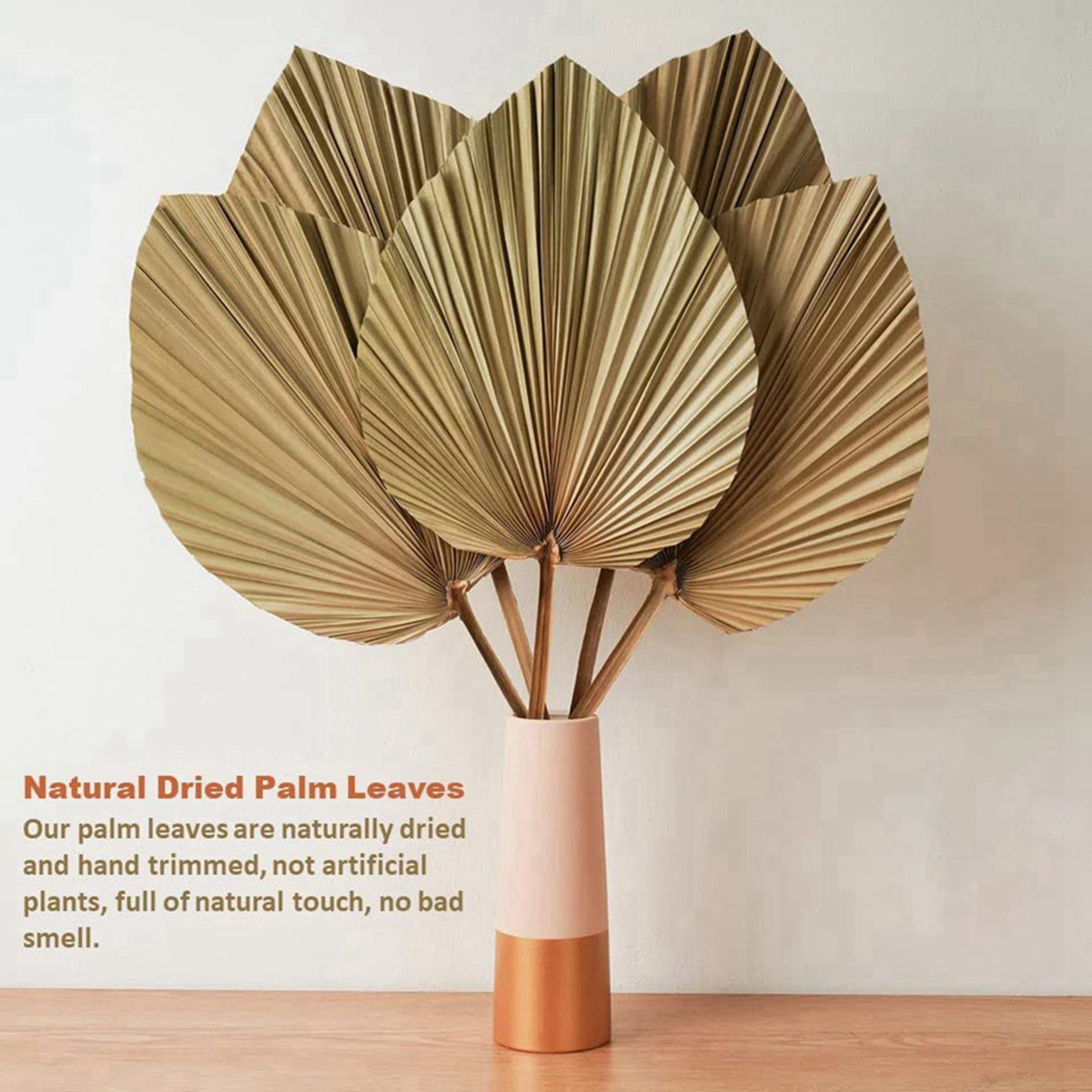 8 Pieces Natural Dried Palm Le - đánh giá và giá Palm Leaf Dried