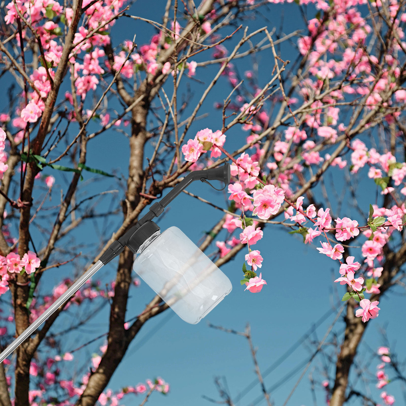 Manual Pollination Stick Handh - đánh giá và giá Flower Supplies
