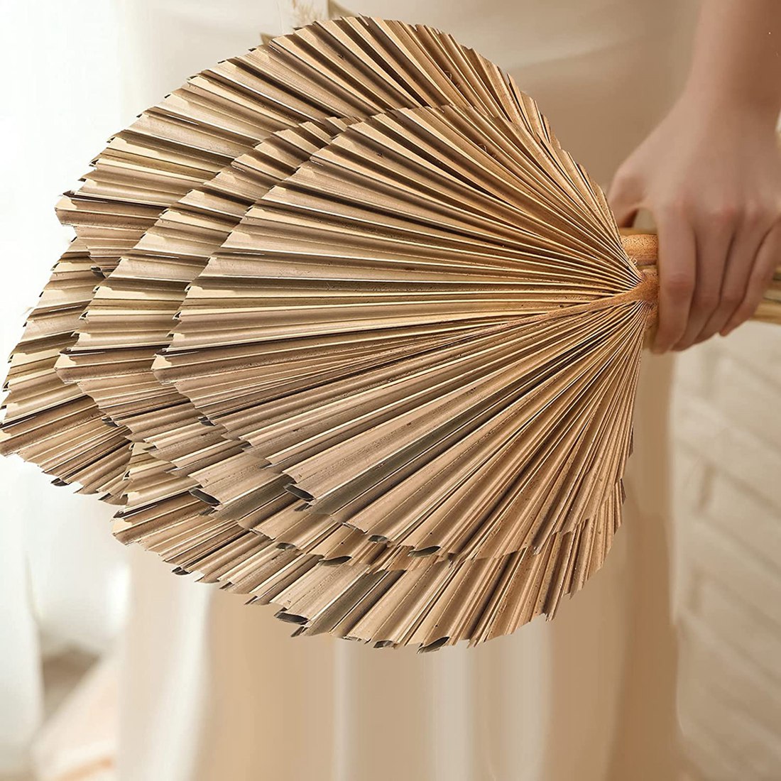 5Pcs Natural Dried Palm Leaves - đánh giá và giá Palm Leaf Dried