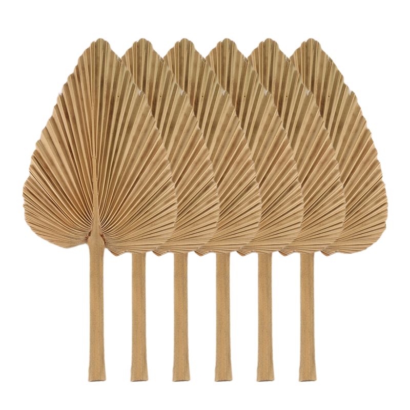 AT84-6PCS Dried Palm Leaves Na - đánh giá và giá Palm Leaf Dried