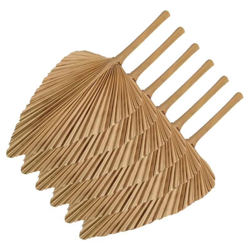 AT84-6PCS Dried Palm Leaves Na - đánh giá và giá Palm Leaf Dried