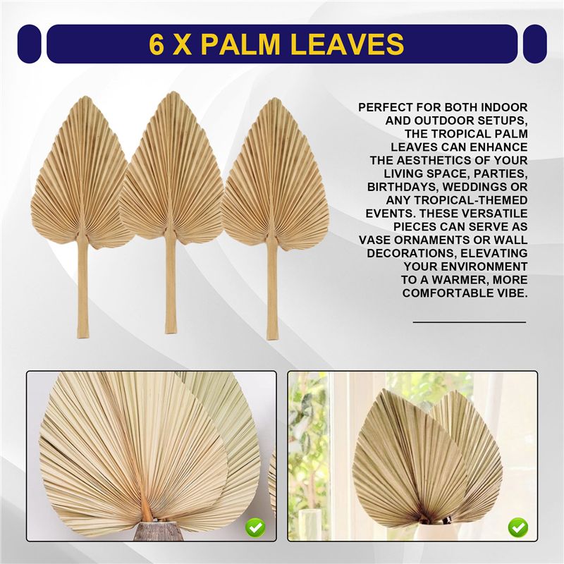 AT84-6PCS Dried Palm Leaves Na - đánh giá và giá Palm Leaf Dried