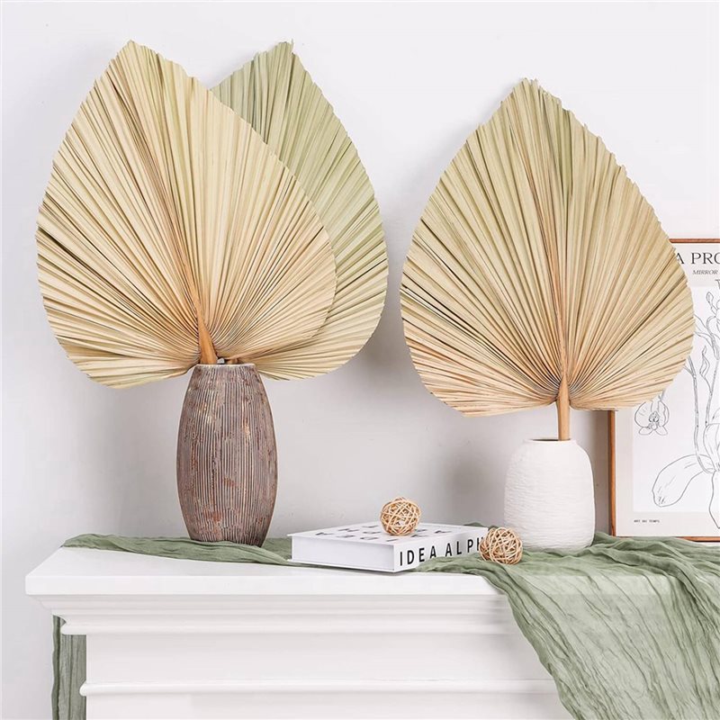 【CHRISTMAS 】24PCS Dried Palm L - đánh giá và giá Palm Leaf Dried