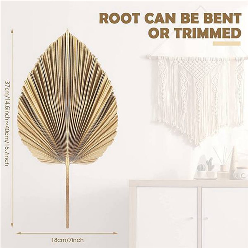 【CHRISTMAS 】24PCS Dried Palm L - đánh giá và giá Palm Leaf Dried