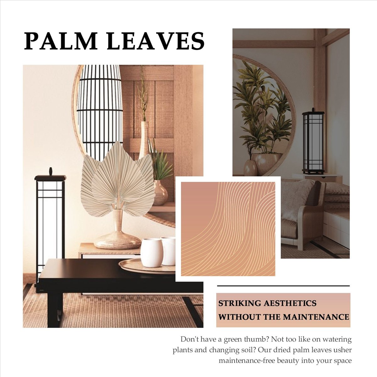 NOCM Dried Palm Leaves Room De - đánh giá và giá Palm Leaf Dried