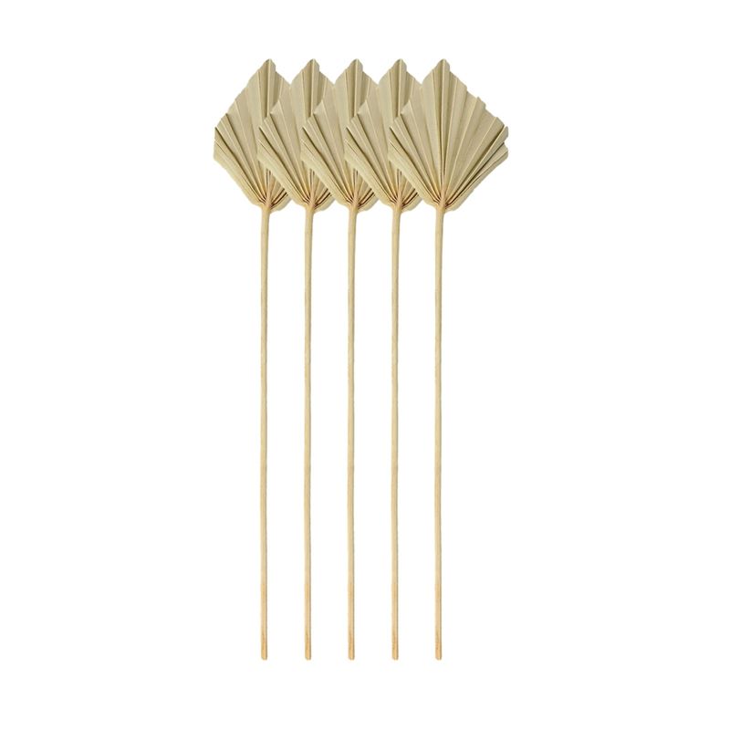 A67P-Boho Dried Palm Spears Sm - đánh giá và giá Palm Leaf Dried