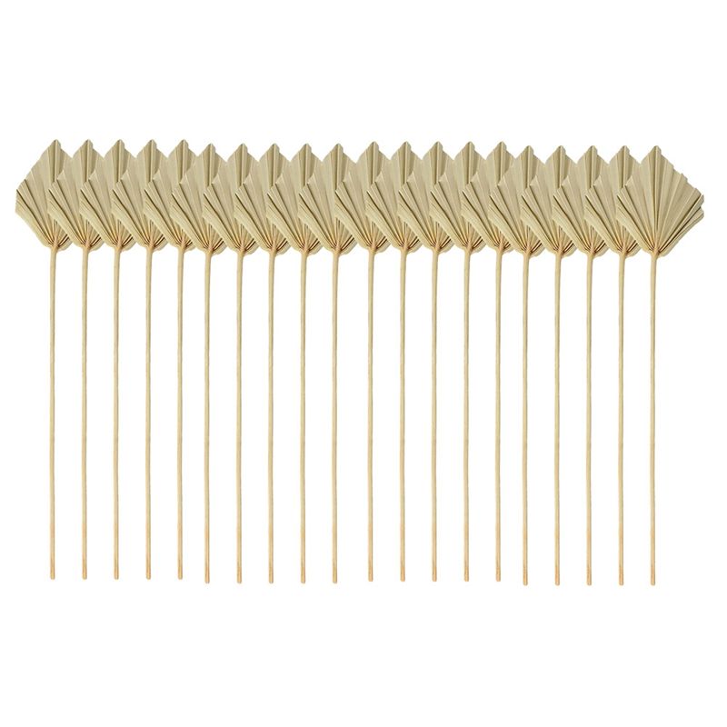 ABYN-Boho Dried Palm Spears Sm - đánh giá và giá Palm Leaf Dried