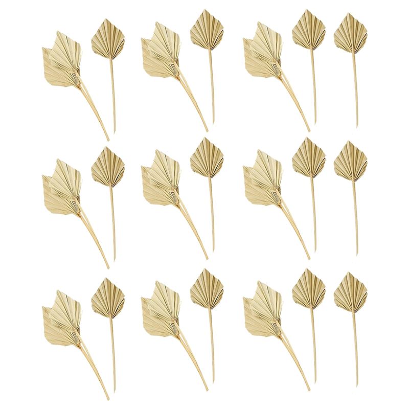 AS60-30 Pcs Boho Dried Palm Sp - đánh giá và giá Palm Leaf Dried