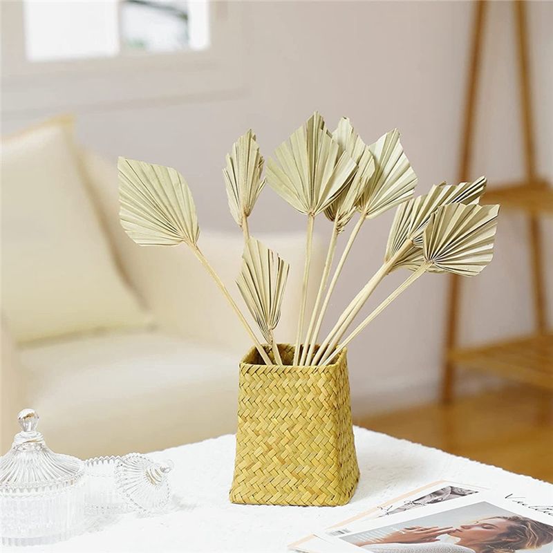 AS60-30 Pcs Boho Dried Palm Sp - đánh giá và giá Palm Leaf Dried