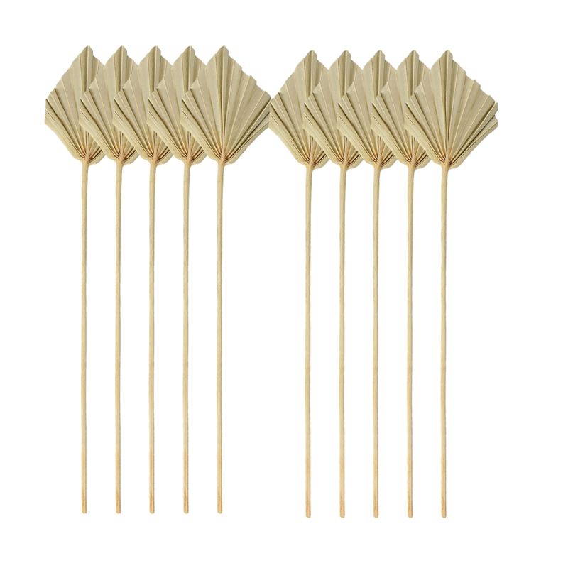 TFORU-Boho Dried Palm Spears S - đánh giá và giá Palm Leaf Dried