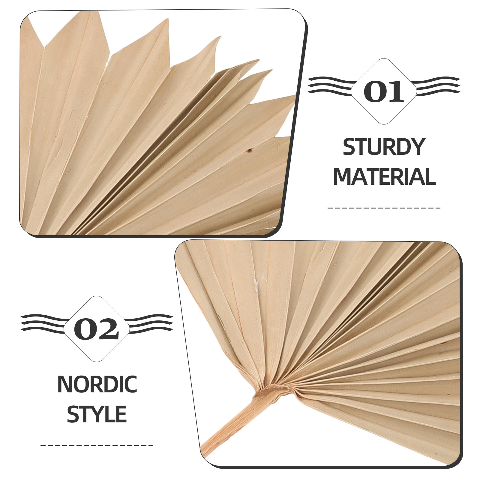 4Pcs Dried Palm Leaf Decoratio - đánh giá và giá Palm Leaf Dried