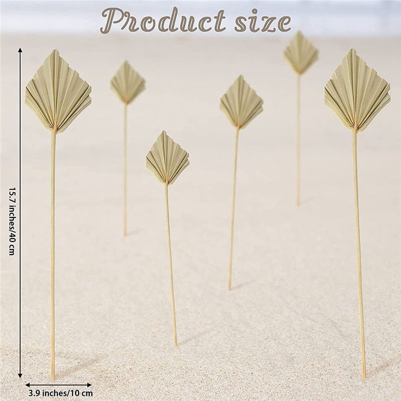 A36T-30 Pcs Boho Dried Palm Sp - đánh giá và giá Palm Leaf Dried