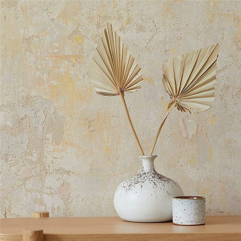 A36T-30 Pcs Boho Dried Palm Sp - đánh giá và giá Palm Leaf Dried