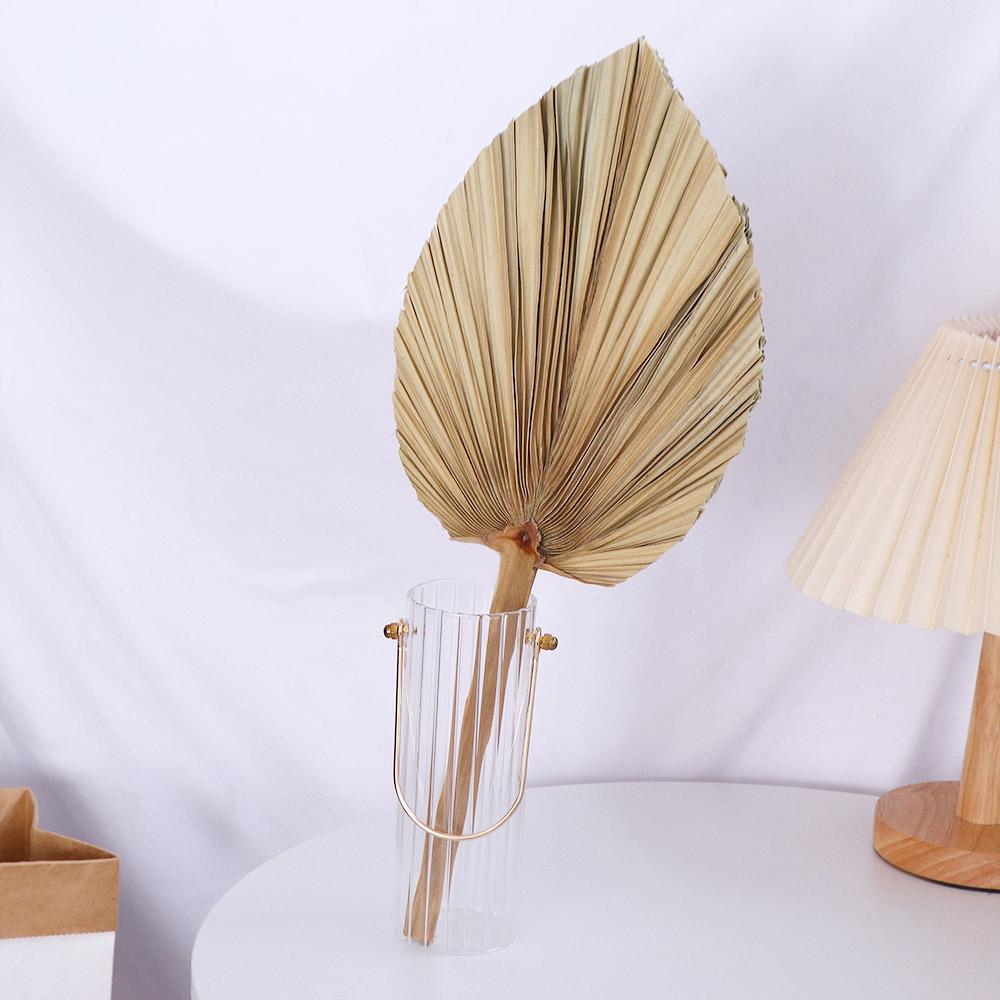 Party Office Boho Trimmed Bohe - đánh giá và giá Palm Leaf Dried