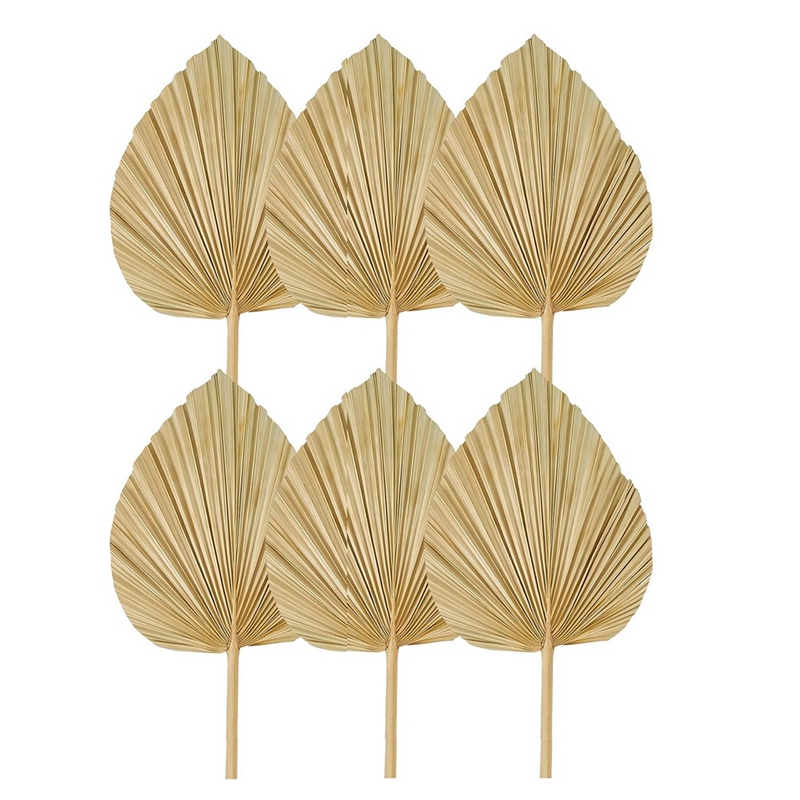 New 6PCS Dried Palm Leaves Nat - đánh giá và giá Palm Leaf Dried