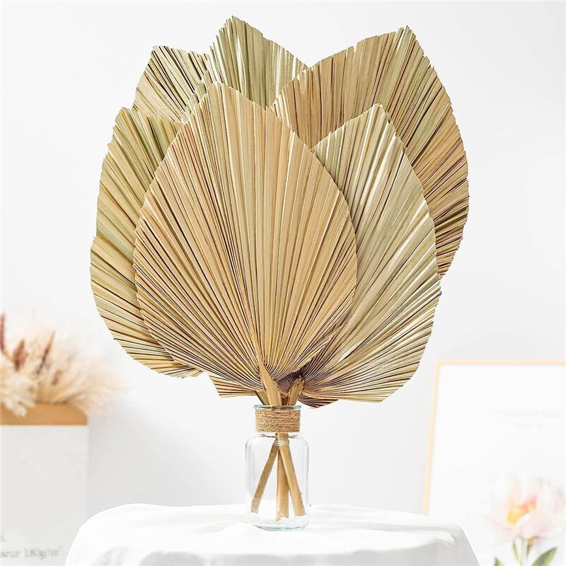 A27F-6Pcs Natural Tropical Dri - đánh giá và giá Palm Leaf Dried