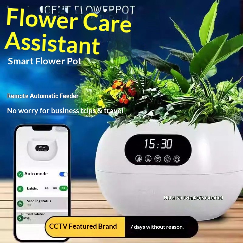 Ai Intelligent Flowerpot Autom - đánh giá và giá Flower Supplies