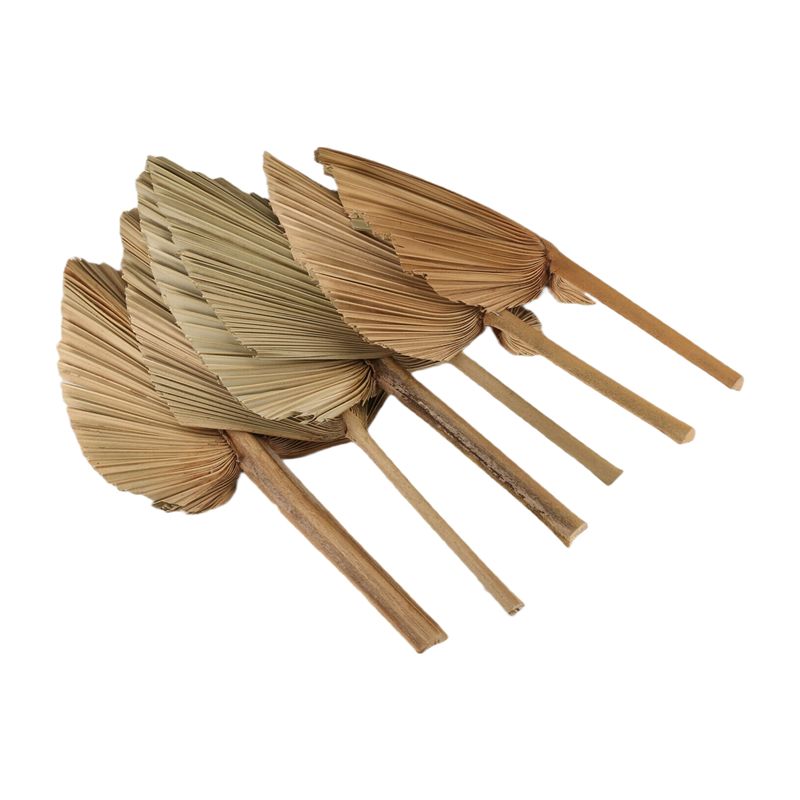 ABKO-6PCS Dried Palm Leaves Na - đánh giá và giá Palm Leaf Dried