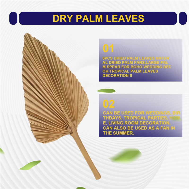 ABKO-6PCS Dried Palm Leaves Na - đánh giá và giá Palm Leaf Dried