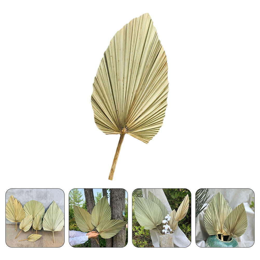 1Pcs Dried Palm Leaf Decor Nat - đánh giá và giá Palm Leaf Dried